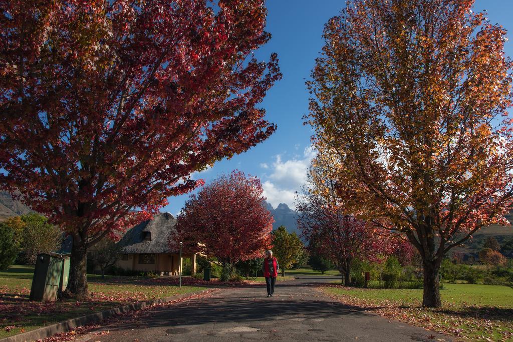 20 Mount Champagne Villa Champagne Valley Luaran gambar